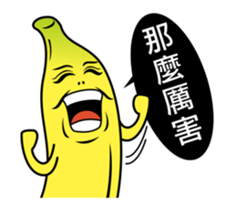 4554884