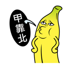 4554888