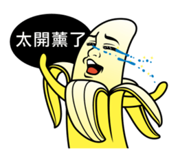 4554901