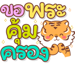 455505084
