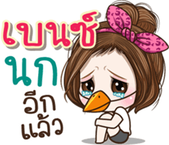 45551817