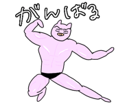 455520034