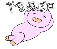 455520037