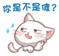 455535545