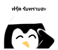455539648