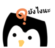 455539651