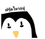 455539652