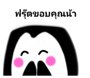 455539653