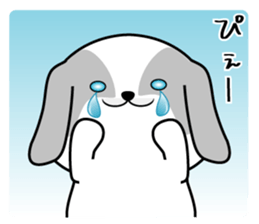 455545681