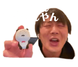 455555868