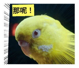 455556789