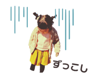 455559524