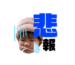 455561815