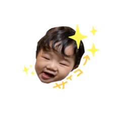 455561820