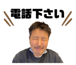 455562880