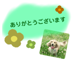 455565769