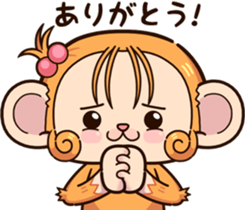 455566640