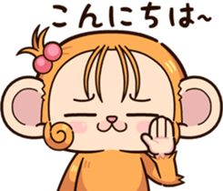 455566641