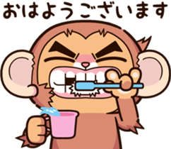 455566659