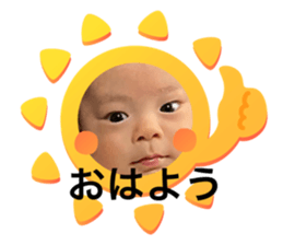 455567631