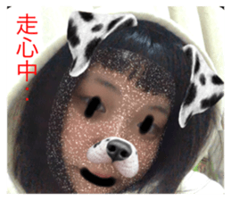 455571862