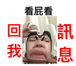 455571866