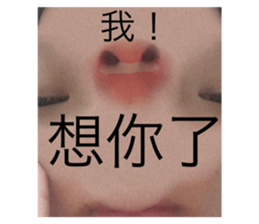 455571867