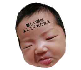 455599182