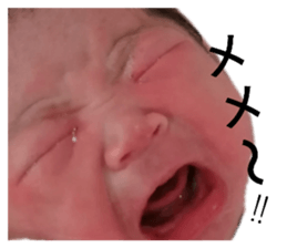 455599189