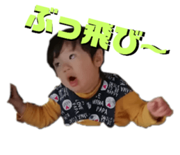 455599196