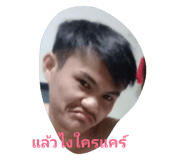 45561719