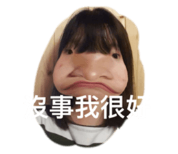 455632137