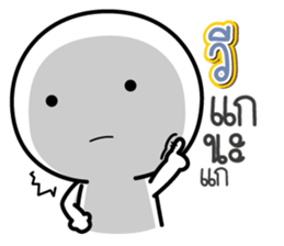 45563849