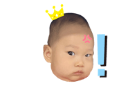 455642294