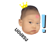 455642303