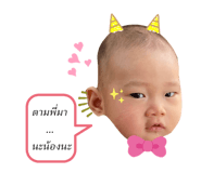 455642308