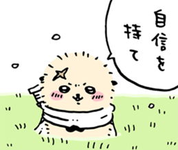 455656372