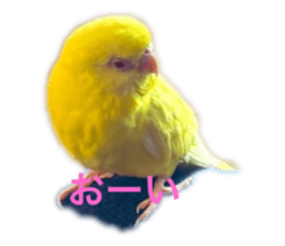 455659712
