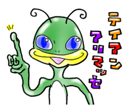 4556606