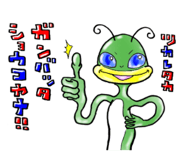 4556607