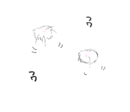 4556615