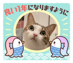 455665128