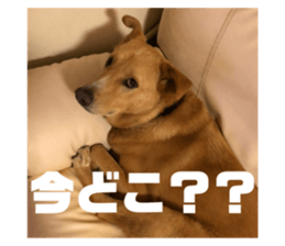455666083