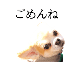 455667288