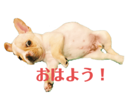 455669303