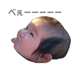 455674243