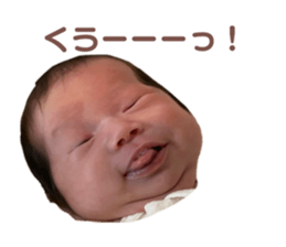 455674244