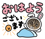 455674690