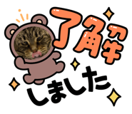 455674693