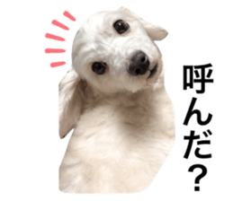 455675202
